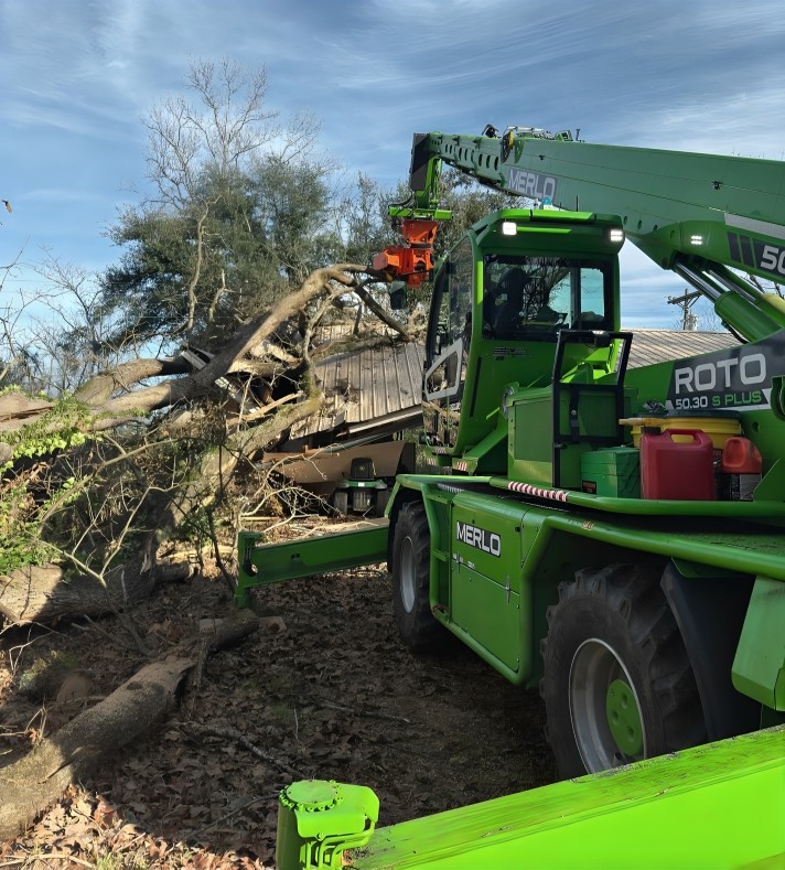 Reliable Tree Removal Near Power Lines for Mississippi Homeowners
